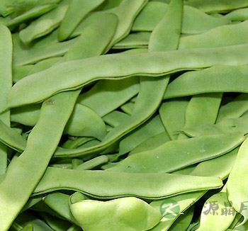 夏季饮食养生 推荐夏季祛湿的五款食物