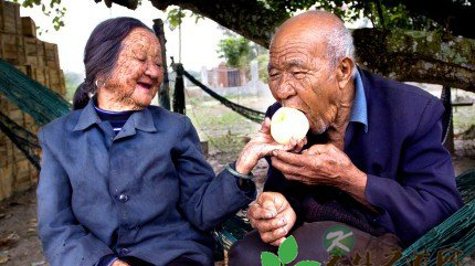 寻找长寿村的不老秘密