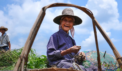 长寿秘诀之长寿村村民养生法