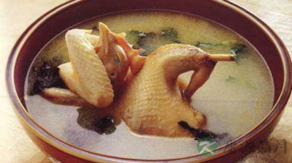 炖鸡的做法大全