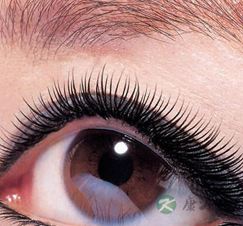 “吃啥补啥” 所谓形补到底靠不靠谱