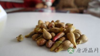 吃葡萄要不要吐葡萄籽