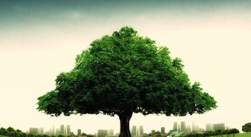 春季养生关键是滋润清火