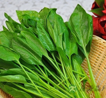 女性体寒吃什么 四类食物抵御寒冷改善体寒