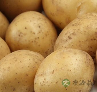 早餐吃什么最有营养 最健康的营养早餐搭配