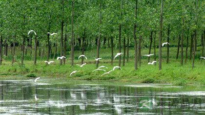 中医养生学九大流派