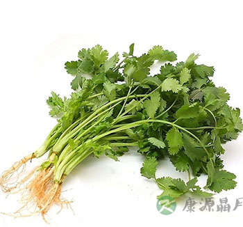 夏季怎样养生 夏季养生要注意的三宜三忌