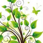 致高考:考前饮食营养大曝光