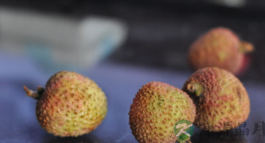 夏季佳果:荔枝食疗能治病