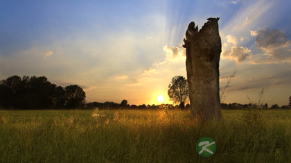 掌握十种秘法能让你活到百岁