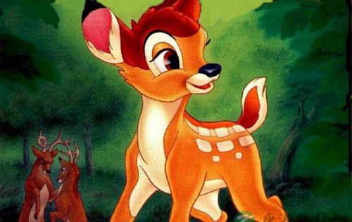 返璞归真：跟着动物学养生