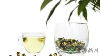 夏天喝菊花茶降火并非人人皆宜