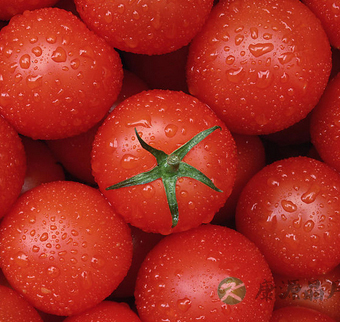 什么东西解酒 4大密招教你如何酒后养生？