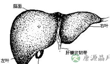 五脏之毒是什么？