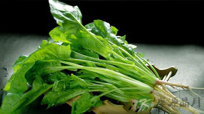春食菠菜汤养肝又养血