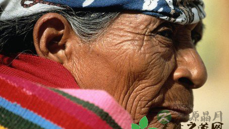 寻找长寿村的不老秘密