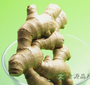 吃什么养胃 养胃的食物有哪些？