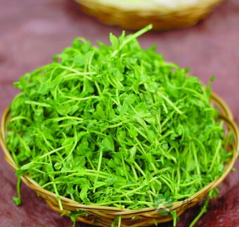 电炖锅食谱 怎么用电炖锅做出诱人美食？