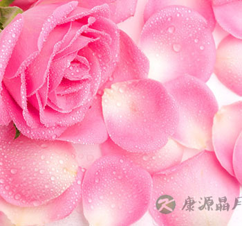 玫瑰花的中药用途 玫瑰花的功效与作用
