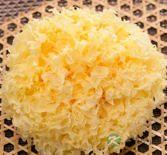 吃什么润肺 6款药膳食物保护你的肺