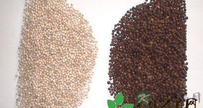 国人“自杀式”饮食习惯 国人“自杀式”饮食习惯