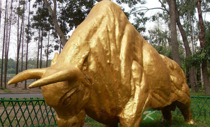  新奇的十二生健身法