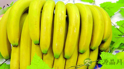 揭秘香蕉的神奇功效与作用
