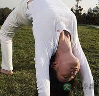 OL瑜伽办公室4式 减压瘦身又健身