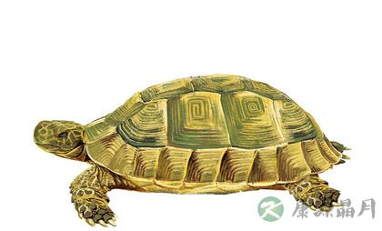 养生八字诀，让你一生健康