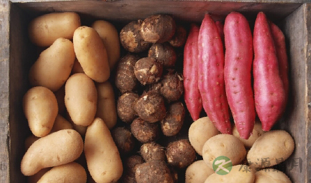 长寿要健康，颐养有妙招