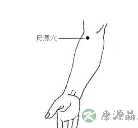 手太阴肺经养生 肺经各穴位的位置与作用