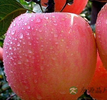 男性饮食健康 盘点男性离不开的8款健康食物