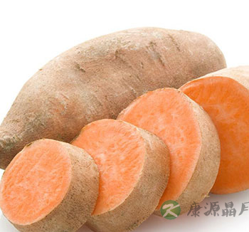 夏季养生主要防湿热 少吃生冷照顾脾胃