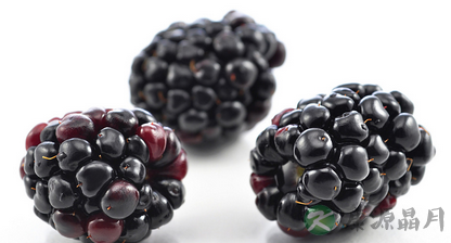 13种黑色食物:抗衰老 防癌症