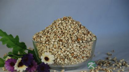 薏仁米的功效与作用及食用方法