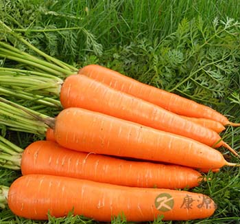 女性体寒吃什么 四类食物抵御寒冷改善体寒