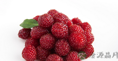 夏季佳果—杨梅的养生功效