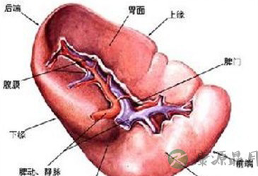 五脏之毒是什么？