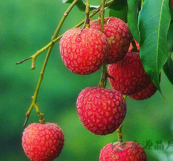 男人多吃水果身体好 4种水果恢复男人精气