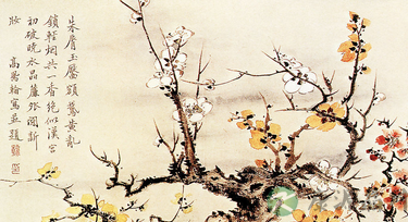 宋美龄为何能活到106岁呢?