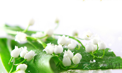 古人春日吃花趣事多