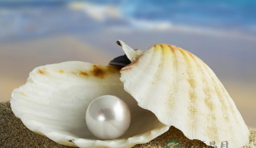 “人养玉三年 玉养人一生”玉石珠宝亦能养生 “人养玉三年 玉养人一生”玉石珠宝亦能养生