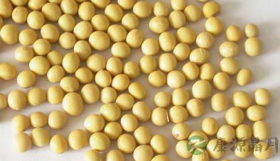 常吃6种素食 维持女人美丽健康