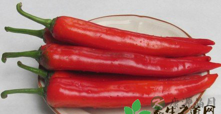 国人“自杀式”饮食习惯 国人“自杀式”饮食习惯