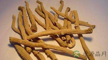 夏季炎热 别把板蓝根当茶饮