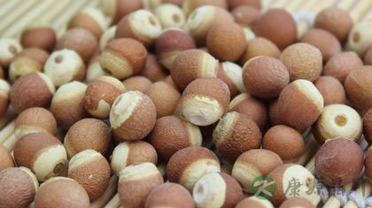 芡实的作用功效及食用方法