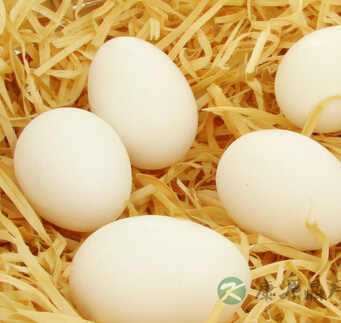 吃什么降血脂 20种健康食物帮你清血降脂