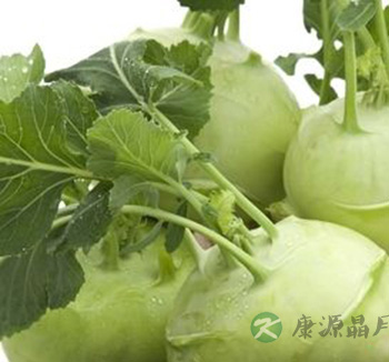 夏季饮食 吃这9种苦味菜帮助消化祛除体热