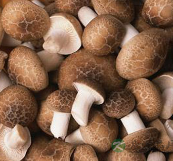 夏季养生吃什么好 夏天养生的最佳食物