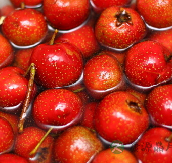 儿童减肥食谱 肥胖儿童吃什么减肥？